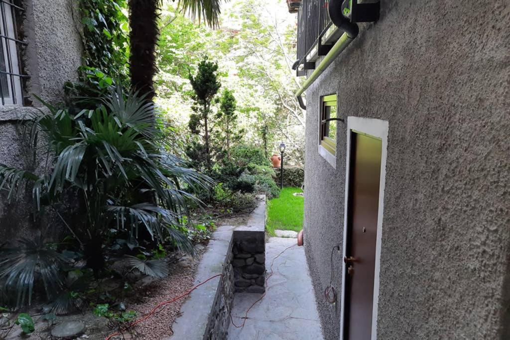 A garden outside The Ivy House in the Castle