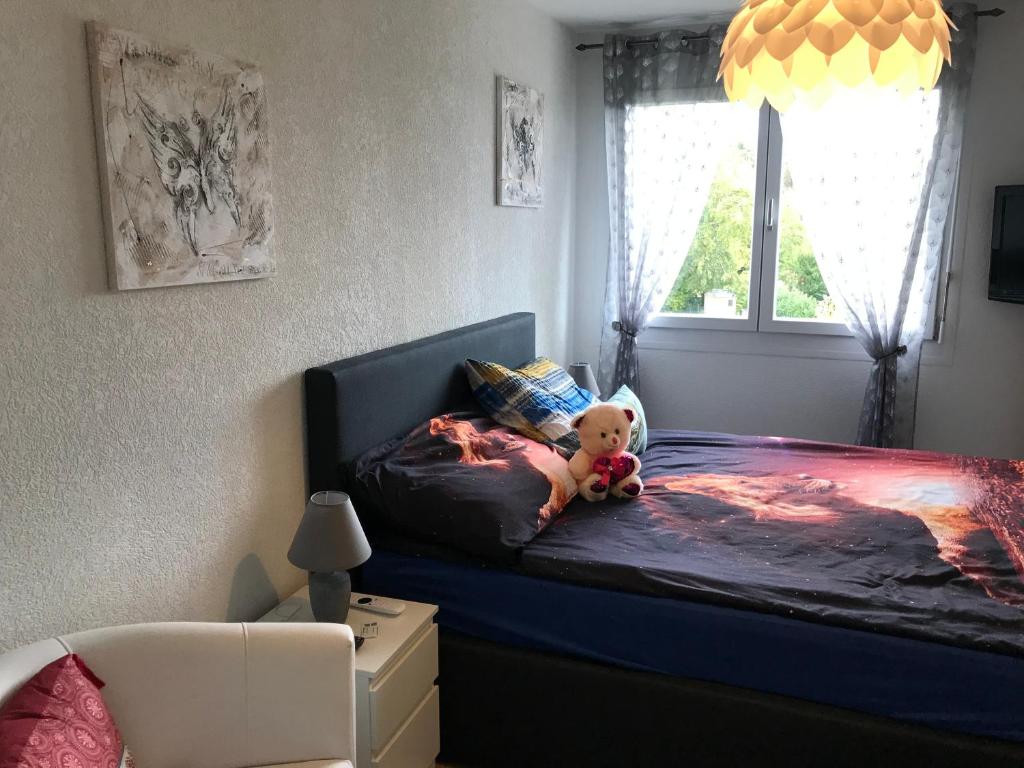 misia siedzącego na łóżku w sypialni w obiekcie Chambre d hôtes Le Petit Bonheur w mieście Colombier