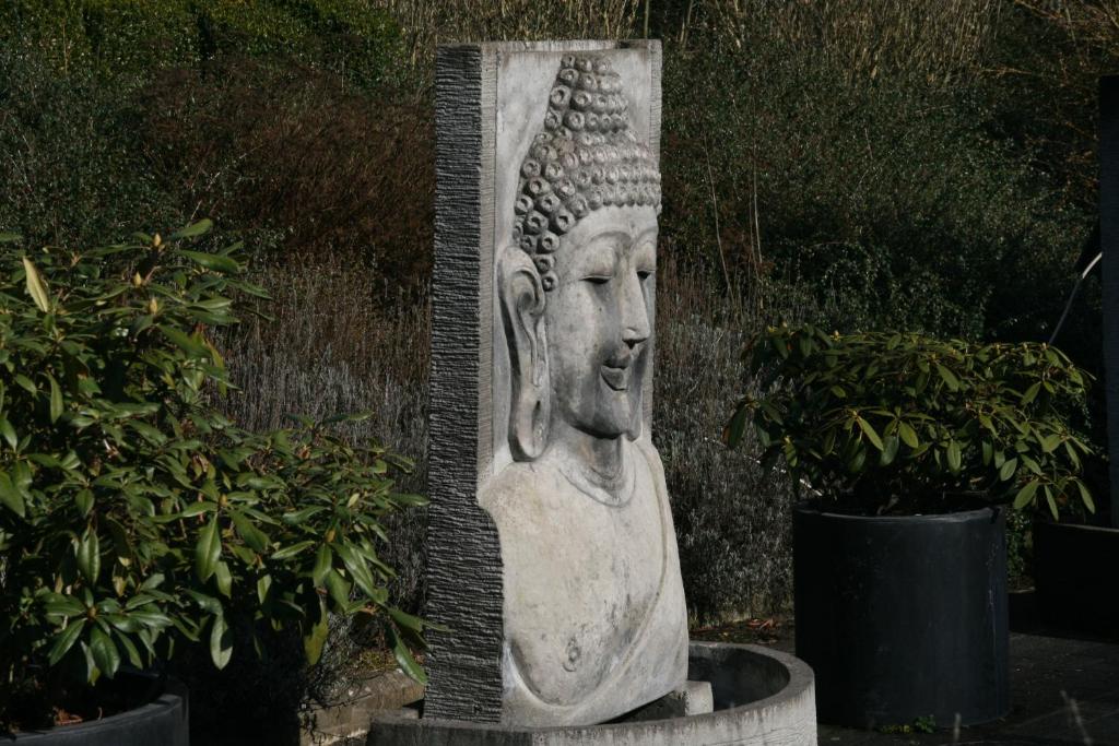 Hotel Olivier - Resim 16