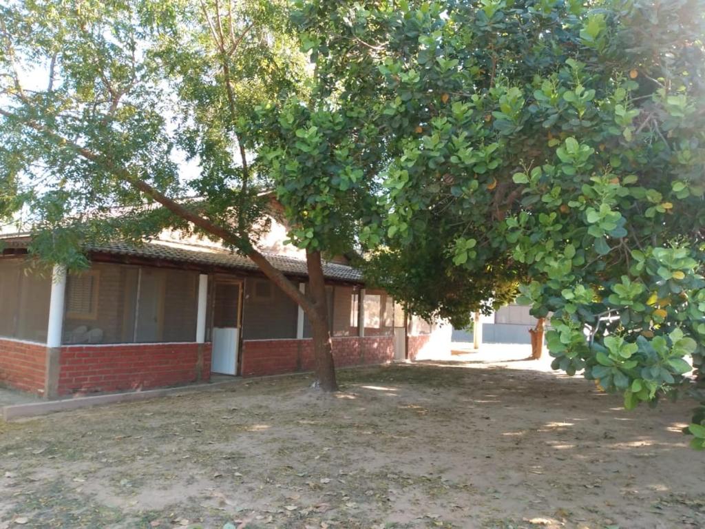  Pousada Camping Casas Porto Jofre Pantanal