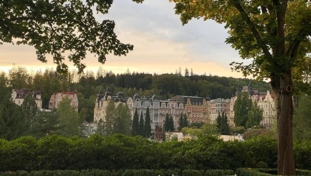 Příroda nedaleko apartmánu
