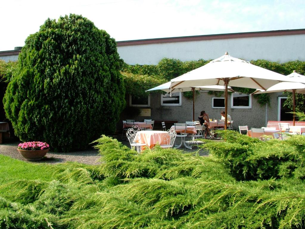 Zahrada ubytování Golf Hotel