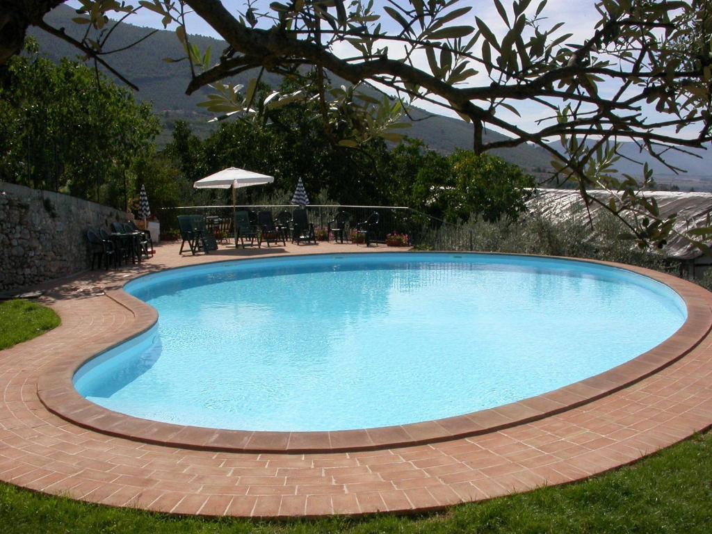 une grande piscine entourée d'un chemin en briques. dans l'établissement Agriturismo I Mandorli, à Trevi