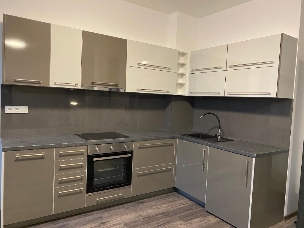 Kuchyň nebo kuchyňský kout v ubytování Boutique Apartments Liberec