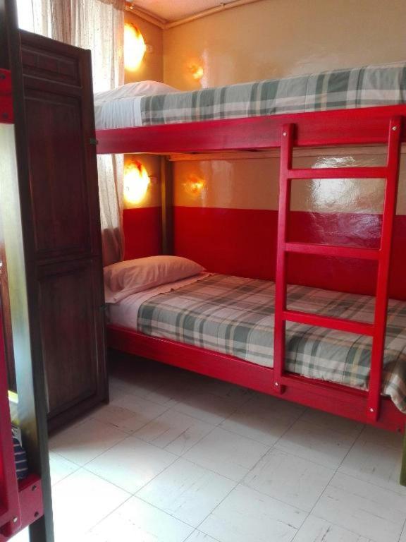 Flying Donkey - Bed In Gemengde Slaapzaal Met 4 Bedden