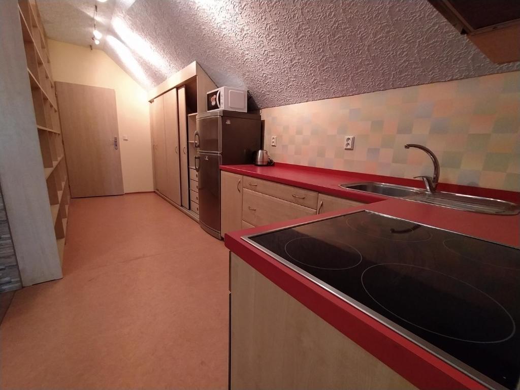 Kuchyň nebo kuchyňský kout v ubytování Apartmány LoNo