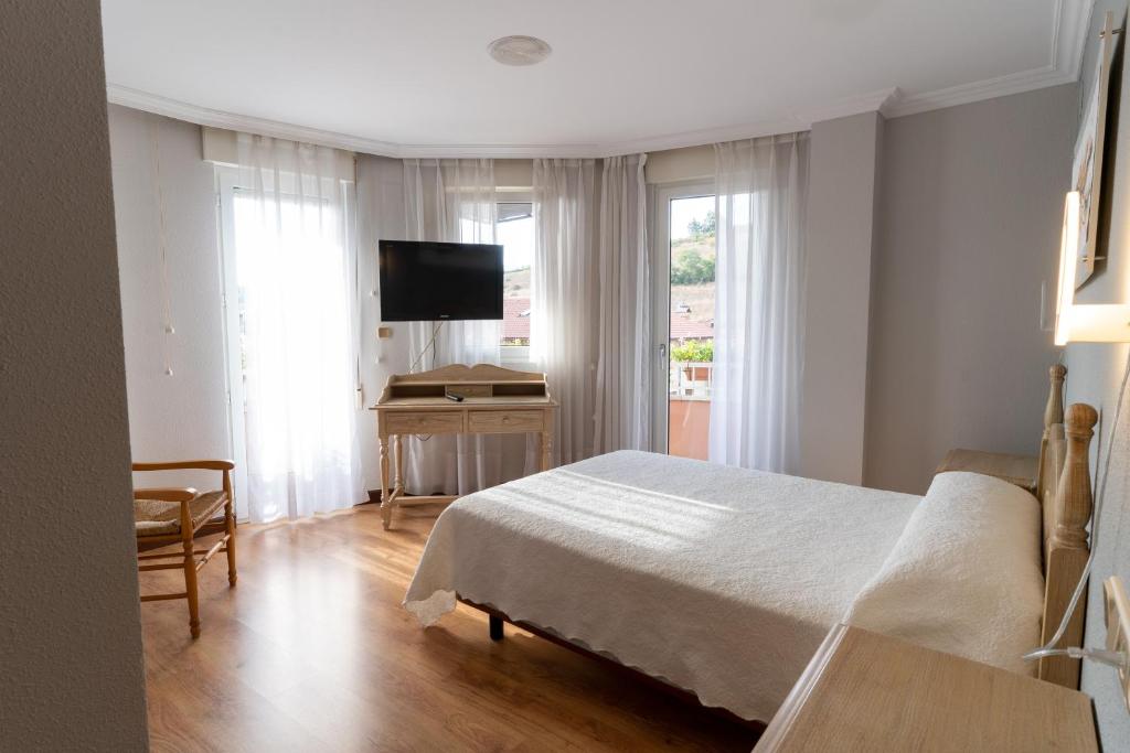 Dormitorio con cama, escritorio y TV en Hotel Río Cea, en Puente-Almuhey