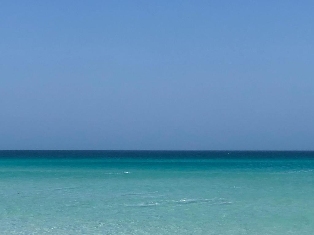  Apto no Le Bon Vivant Praia Grande