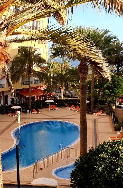 a swimming pool in a resort with palm trees and chairs at Cristianos in Los Cristianos