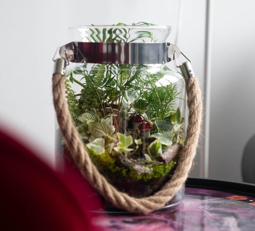 Rose Valley Apartment - 10