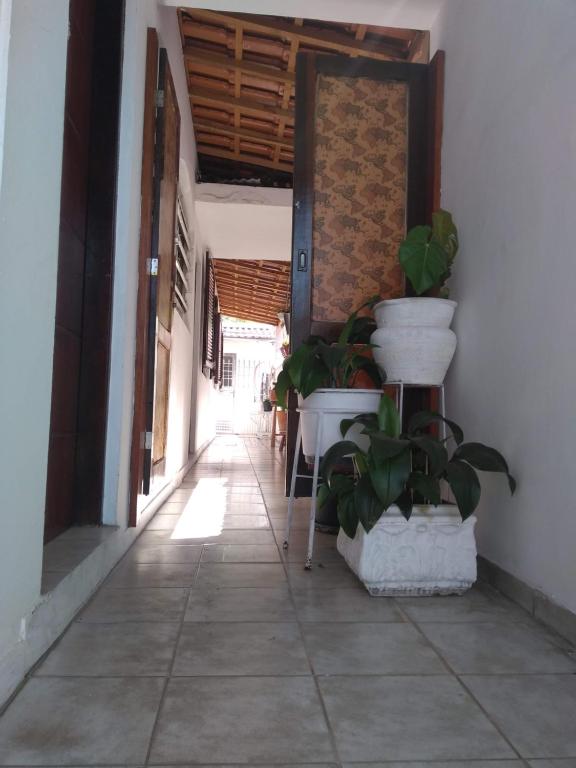  Suíte Feminina - Alvodada Garden