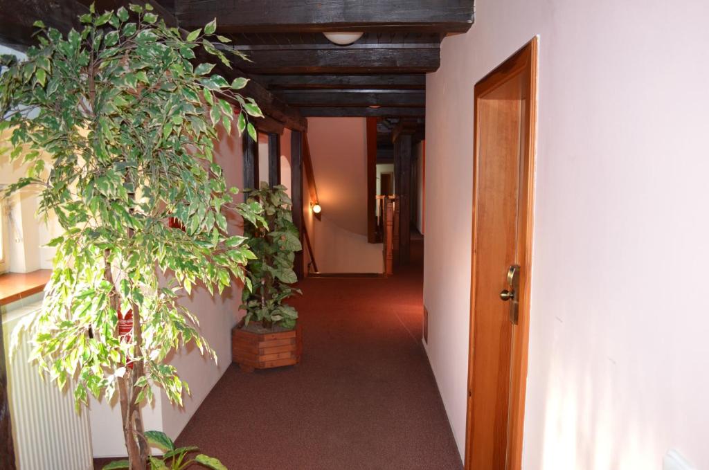 Fotografie z fotogalerie ubytování Hotel Na Statku v destinaci Nepřevázka