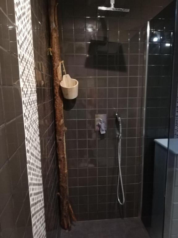 a bathroom with a shower with a pole in it at Maison Small Luxury ( planxa,suite,solarium,jacuzzi,pas de vis à vis) in Argelès-sur-Mer