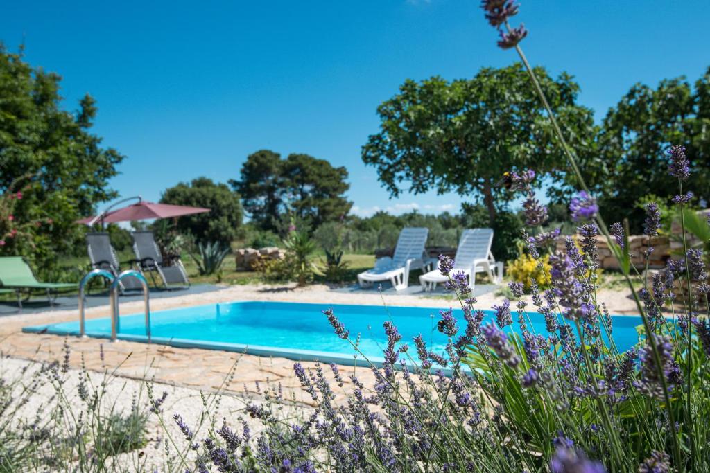 Basen w obiekcie Wonderful villa Palera II with pool, immersed in the nature near the beach lub w pobliżu