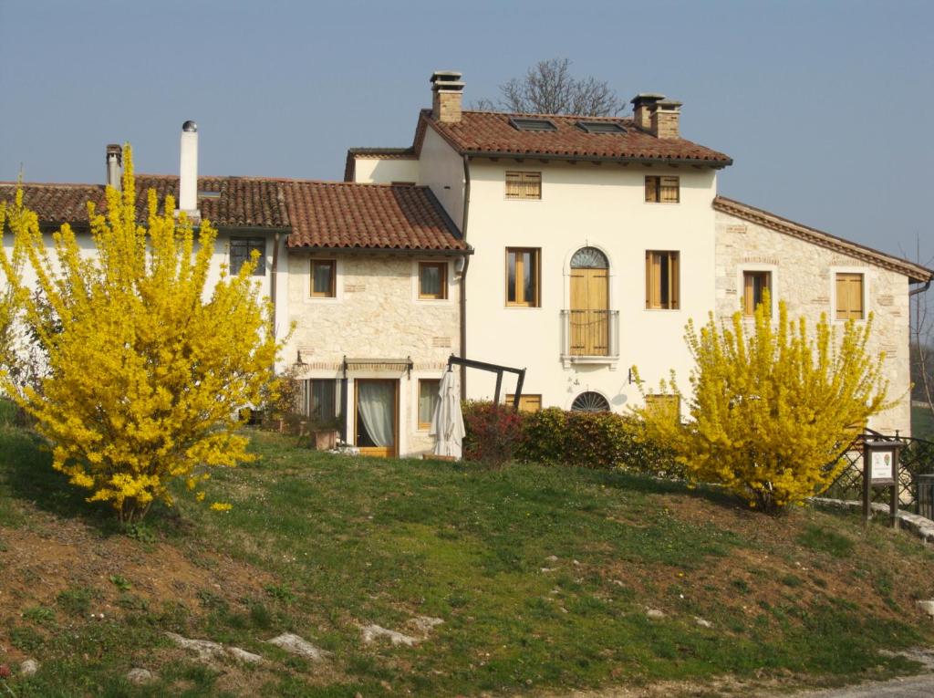 una gran casa blanca en una colina con arbustos amarillos en Agriturismo Marani, en Arcugnano