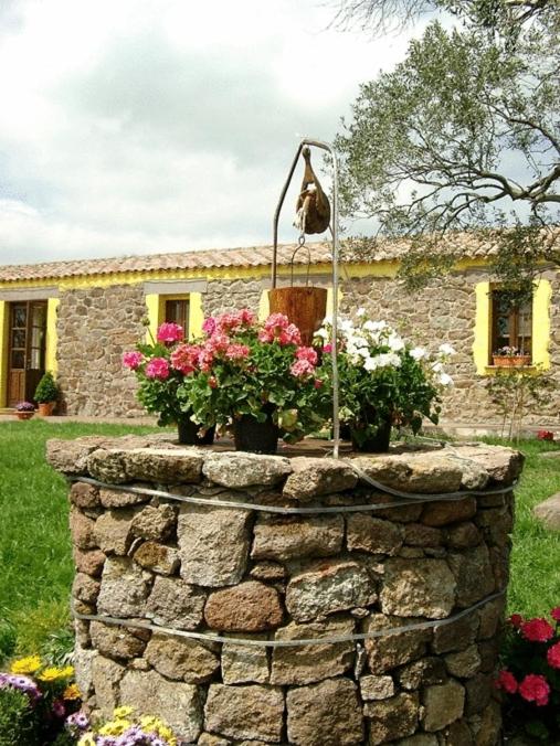 Zahrada ubytování Agriturismo nuraghe Putzu Canu