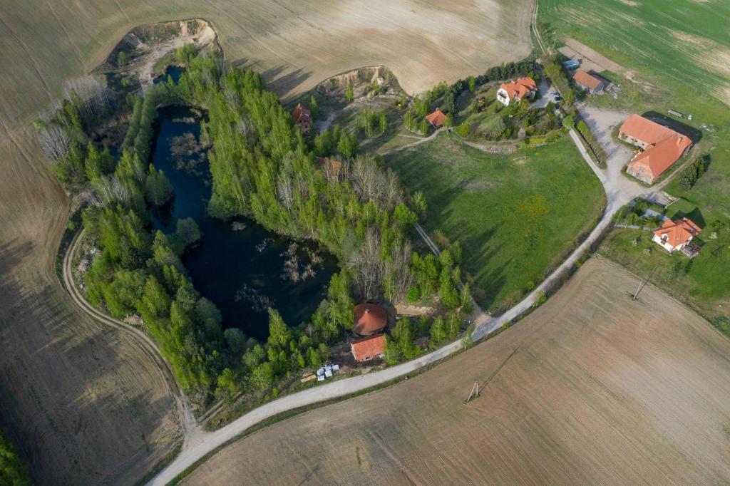 un'isola in mezzo a un campo con un lago di Żabie Oko a Kruklanki