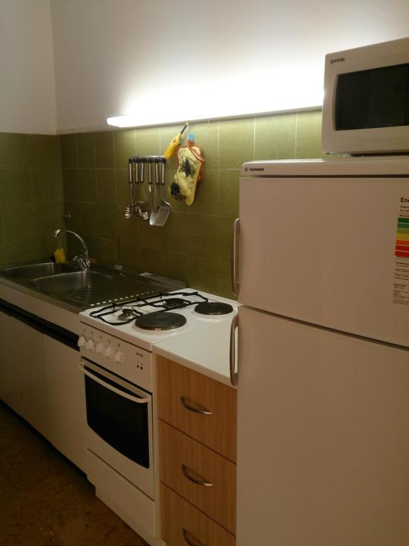 Kuchyň nebo kuchyňský kout v ubytování Apartment Zorić Grebaštica