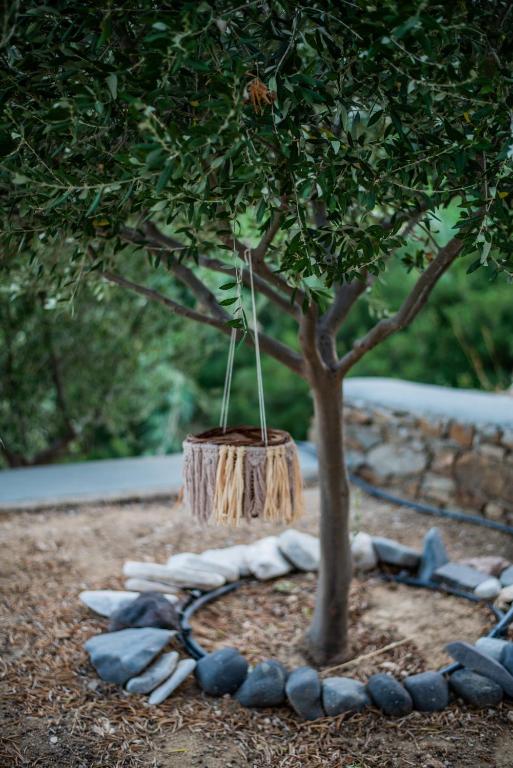 a tree in a circle of rocks under a tree at Gianemma Luxury Apartments in Mylopotas