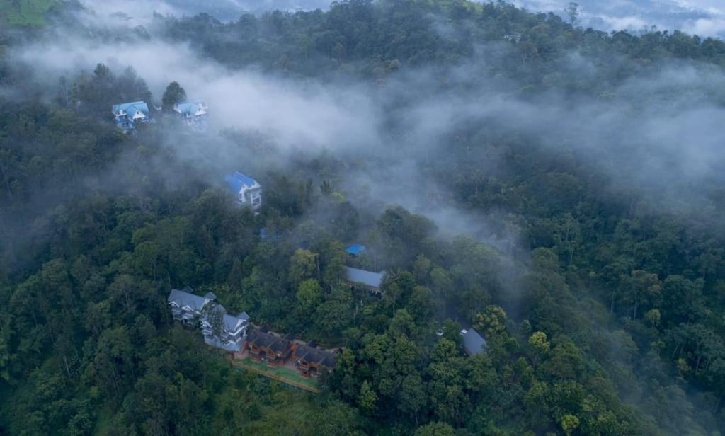 Vue aérienne d'une forêt dans les nuages dans l'établissement Eterno Camellia and Elettaria, à Munnar