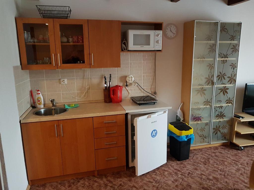 una pequeña cocina con fregadero y nevera. en Apartment Příbram en Příbram