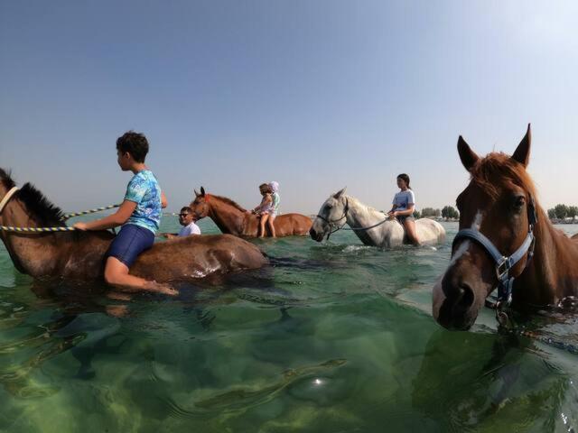 The Ranch Resort Bahrain バーレーン Dumistan Booking Com