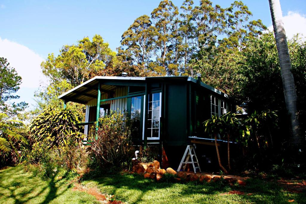 a green tiny house in the woods at Maleny Monet Studio in Maleny