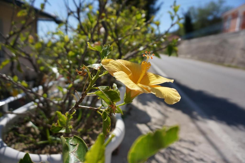 Fotografie z fotogalerie ubytování Kefalonia Sea View Cottage v destinaci Áno Váltai
