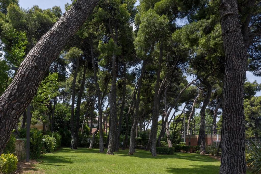 Domotel Kastri - Resim 17
