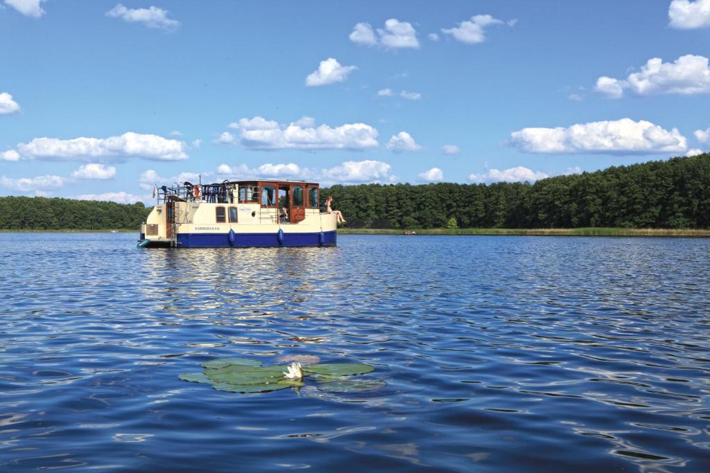 Kuhnle-Tours Bootshaus Zeuthen - Boat - Kormoran 940 (3-5 Adultes)