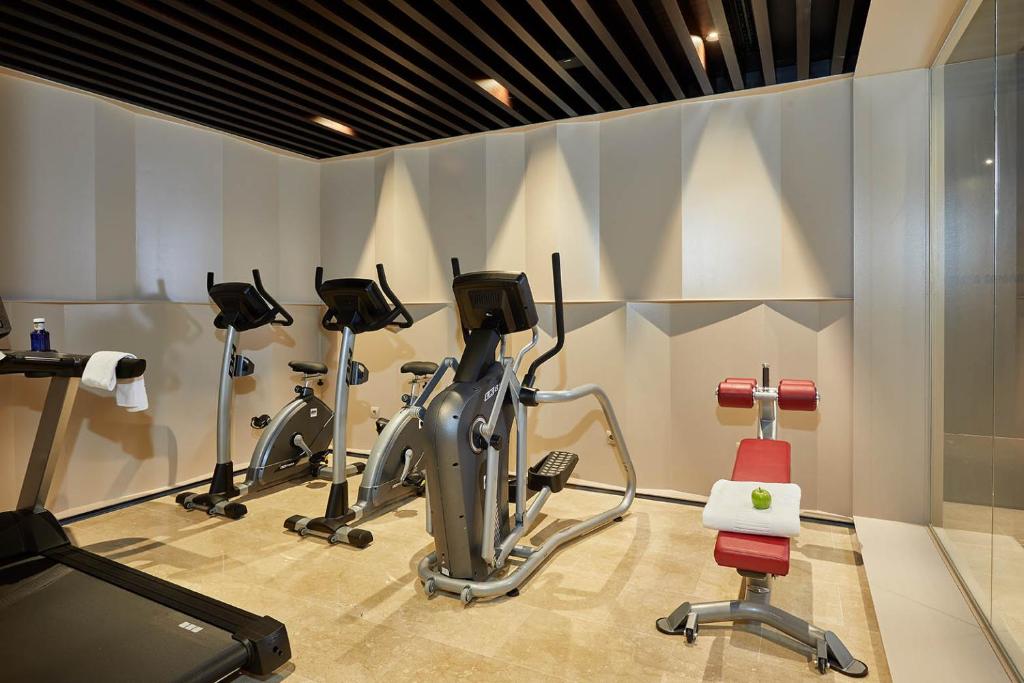 Fitness centrum a/nebo fitness zařízení v ubytování Hotel Posada del Lucero