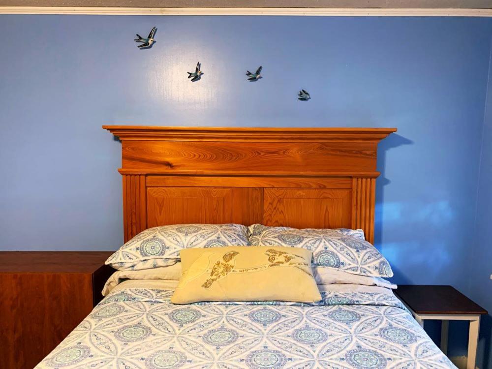 Postel nebo postele na pokoji v ubytování Blue Moon Guest House