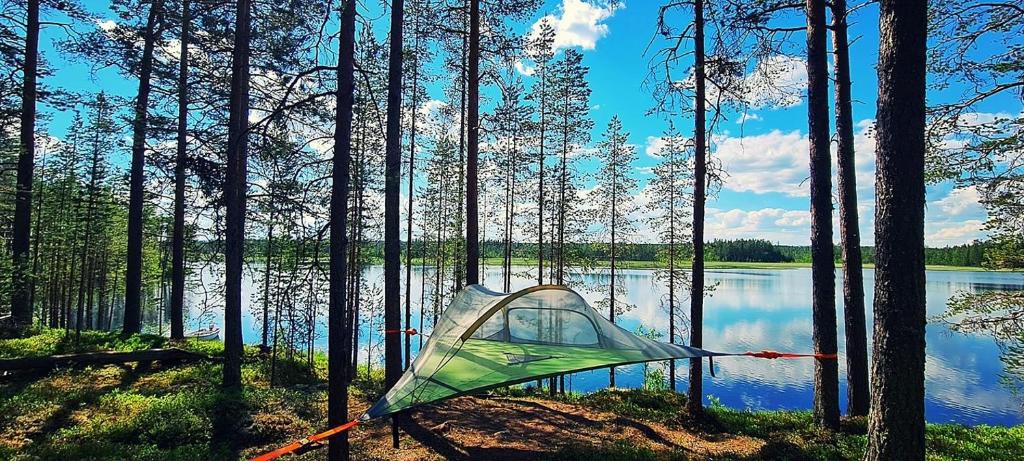 ein Zelt auf dem Boden neben einem See in der Unterkunft Baumzelte direkt am See gelegen in Nornäs