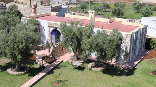 Zahrada ubytování Riad Titima Essaouira