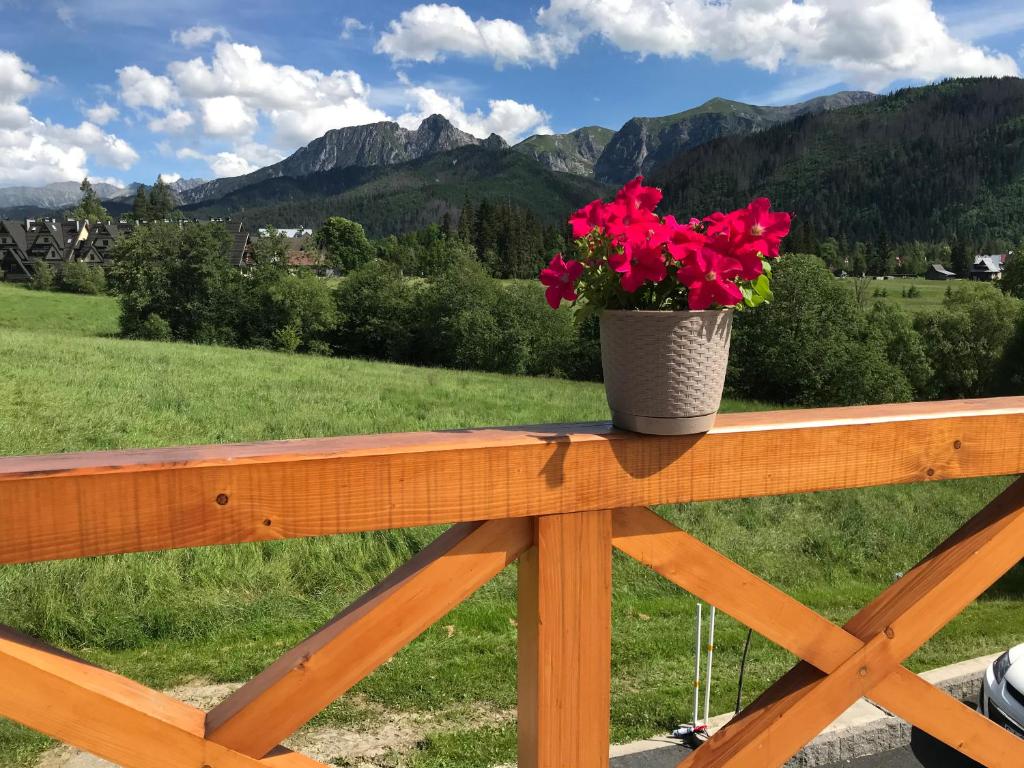 a pot of flowers on a fence with mountains in the background at Willa ANTONÓWKA in Kościelisko