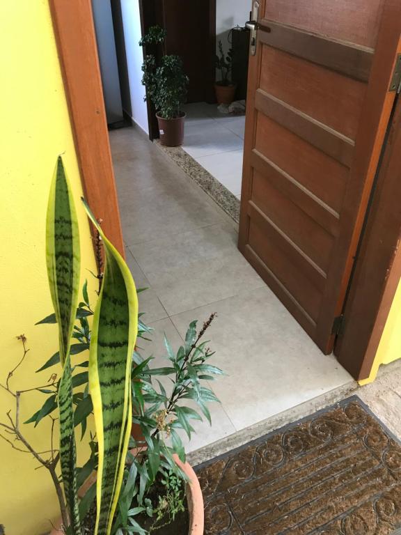 Loft campeche