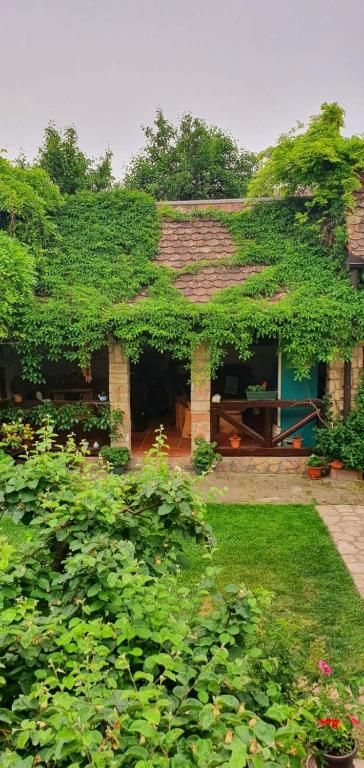 Zahrada ubytování Ilkićev kućerak Apartman