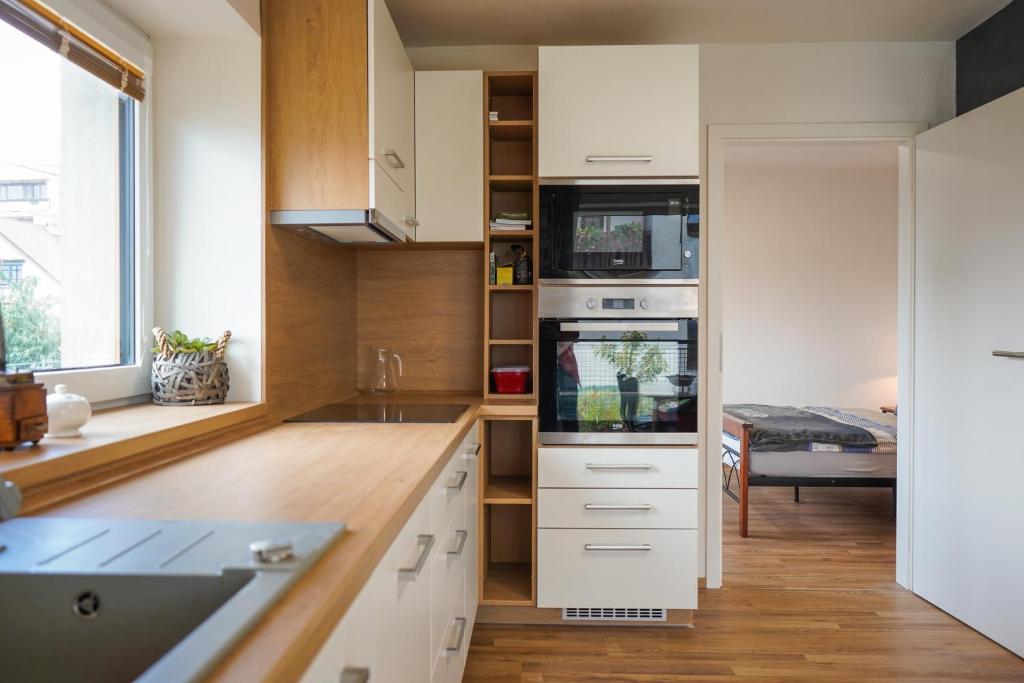 Kuchyň nebo kuchyňský kout v ubytování Vila Věkoše - apartmán s terasou a zahradou