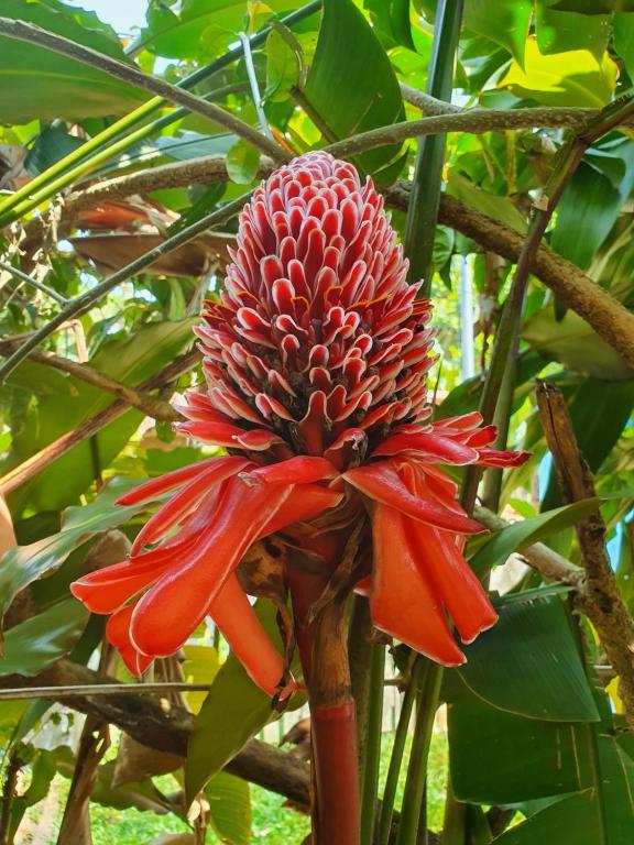  Pousada Canto da Cachoeira