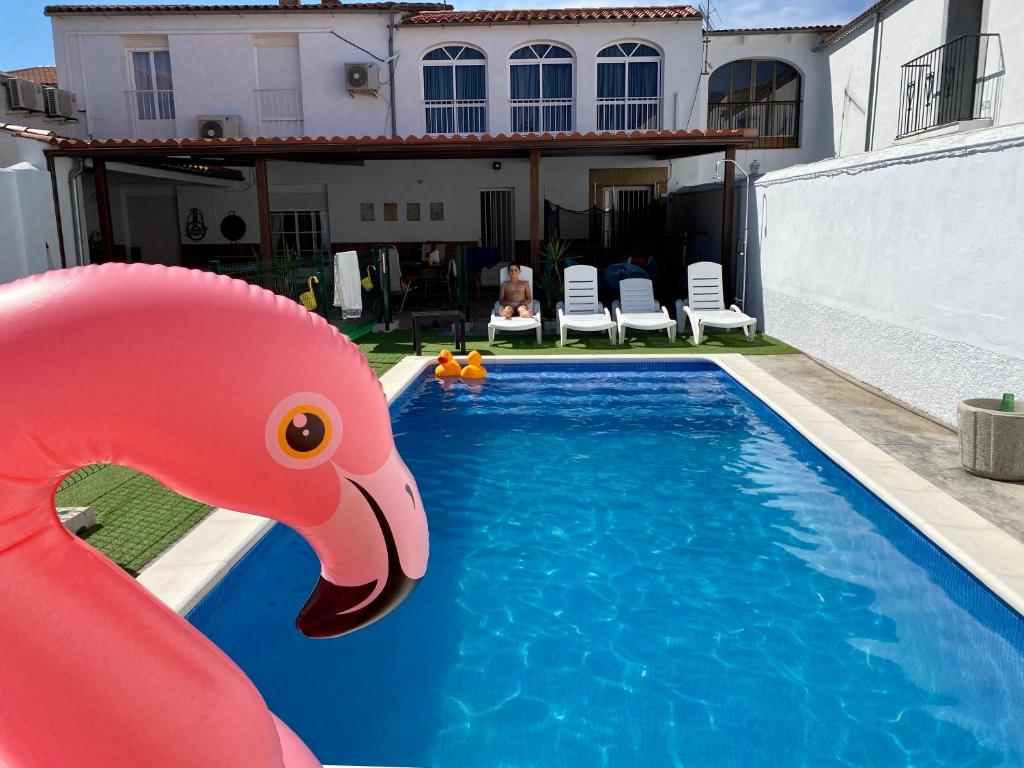 una piscina con un tobogán rosa de flamencos frente a una casa en CASA RURAL VALLE SECRETO en Torremocha