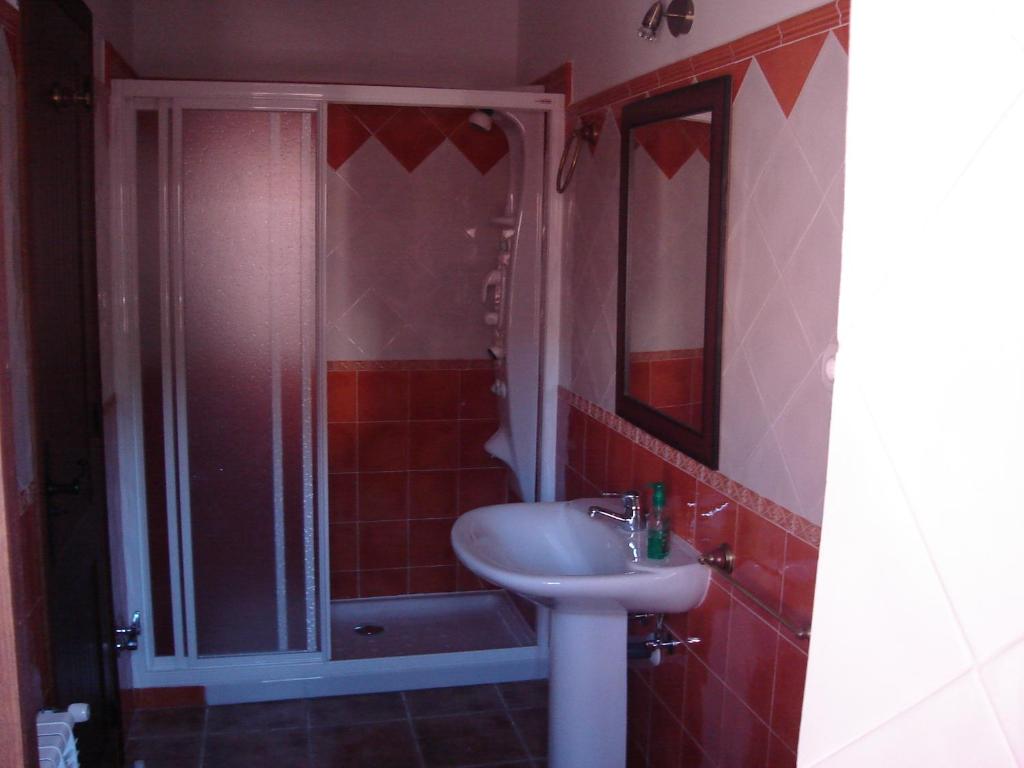 un baño con lavabo y ducha en La Insula de Castilnuevo, en Castilnuevo
