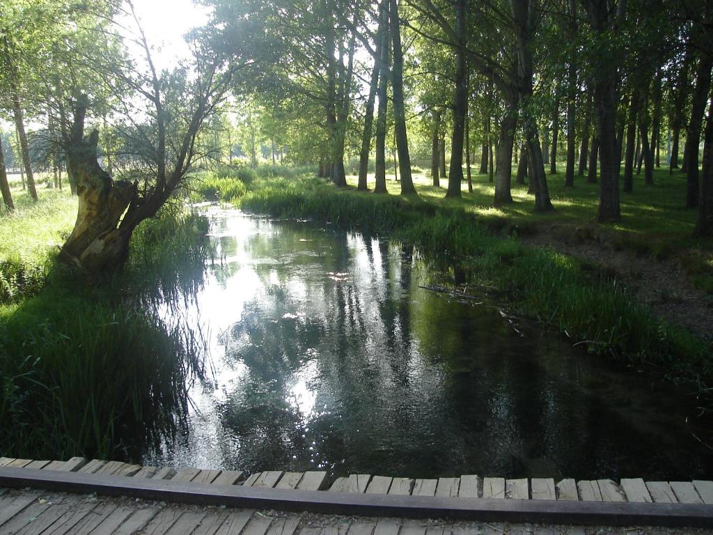 Paisaje cerca de este apartamento
