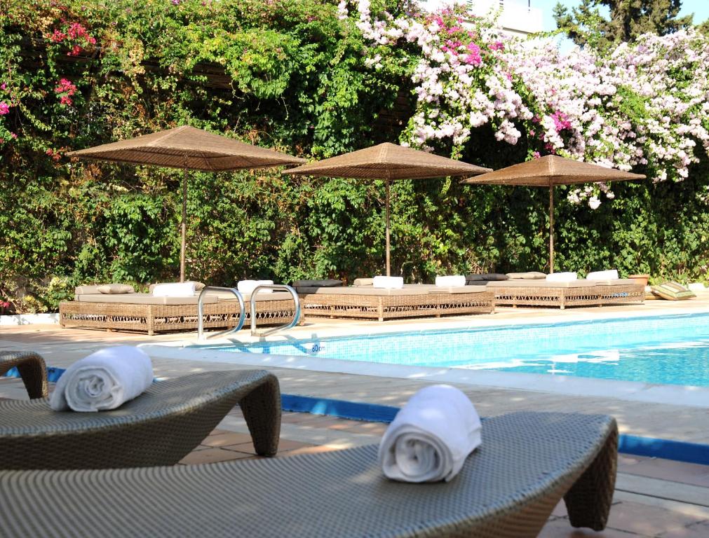 Congo Palace - Resim 38