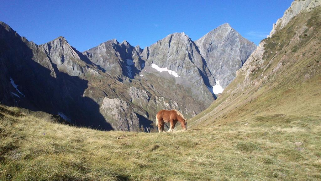 Příroda nedaleko penzionu – hostince