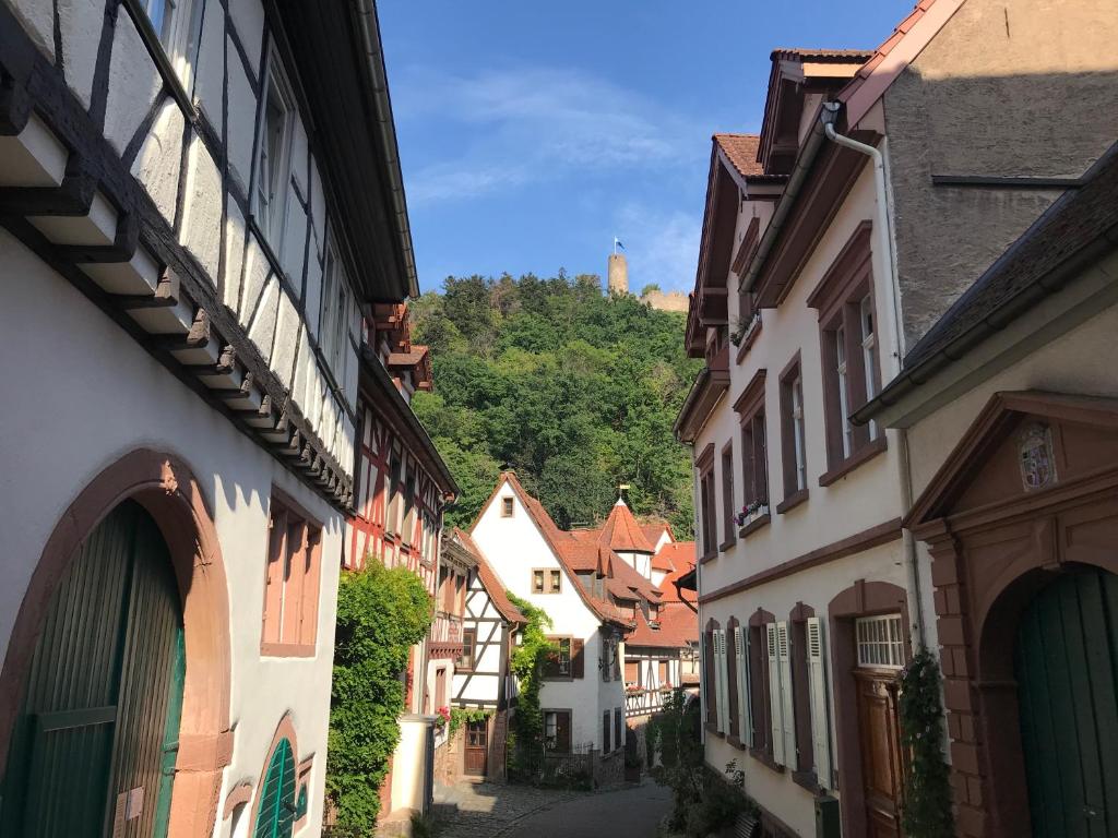 um beco numa cidade com edifícios e uma montanha em Turmwohnung Büdinger Hof em Weinheim