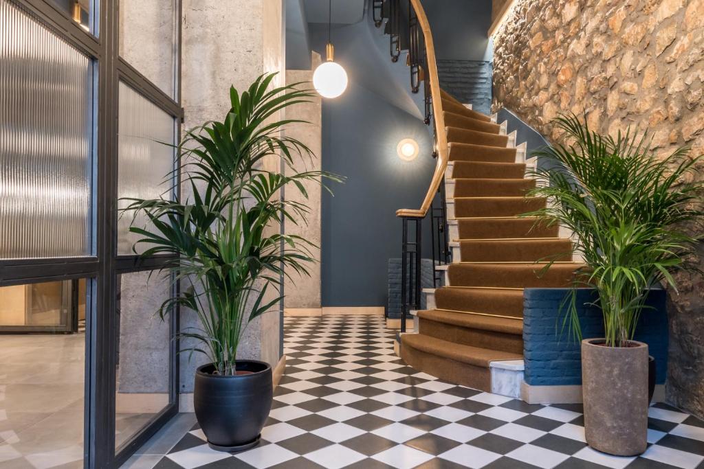 Cohort Koukaki - Resim 10