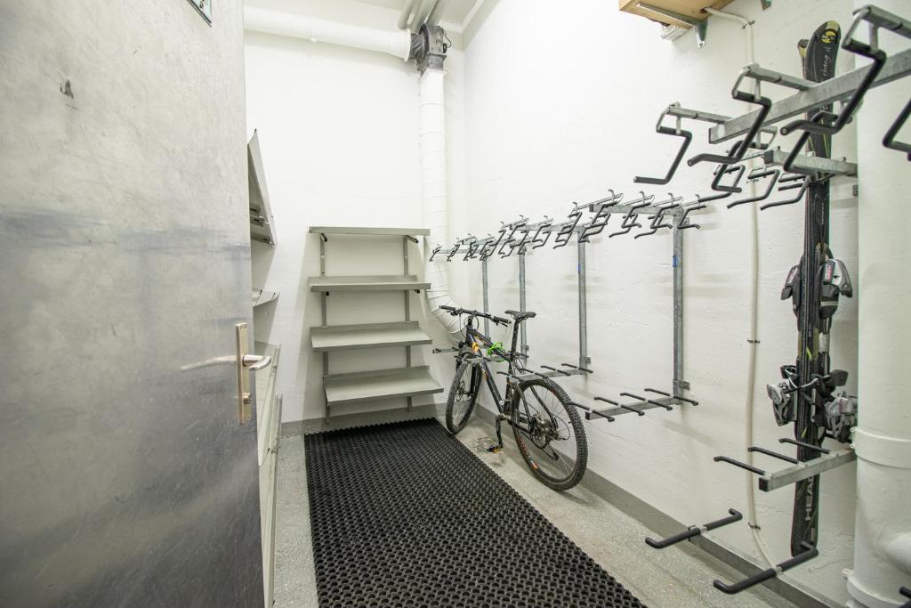 Fitness centrum a/nebo fitness zařízení v ubytování Rehwiesa 11C by Arosa Holiday