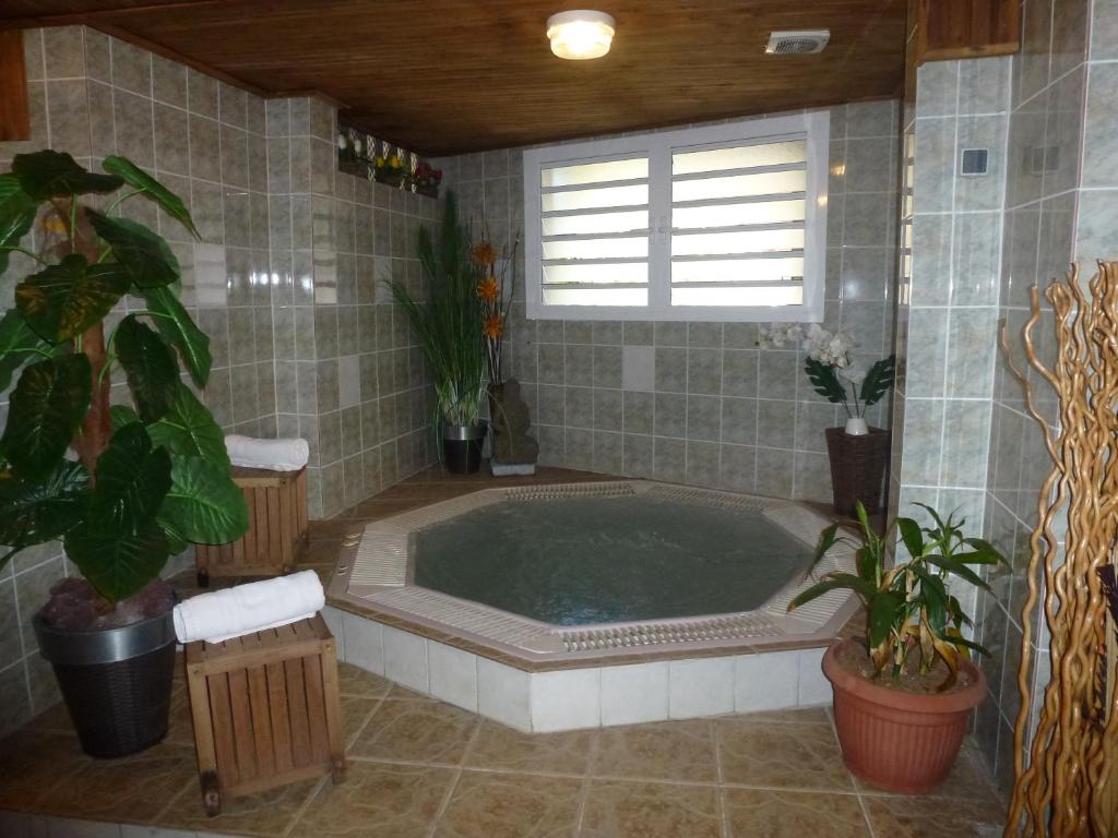 baño con bañera con plantas y ventana en Hotel Des Neiges, en Cilaos