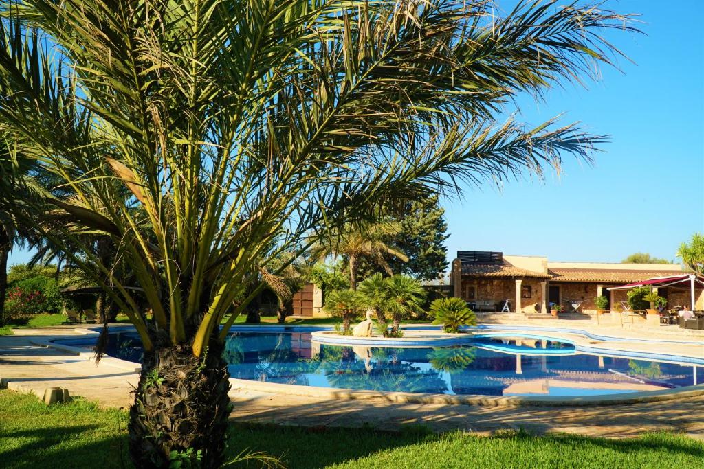 Bazén v ubytování Agroturismo Finca Sa Tanca nebo v jeho okolí