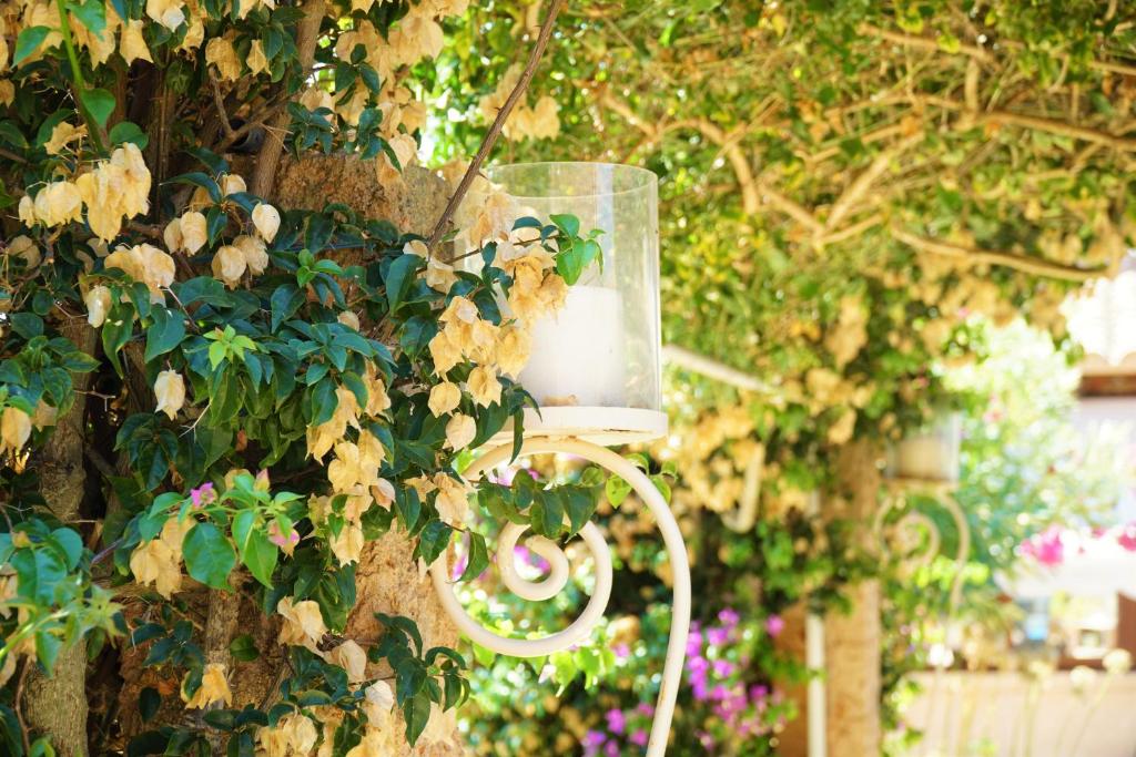 Zahrada ubytování Agroturismo Finca Sa Tanca
